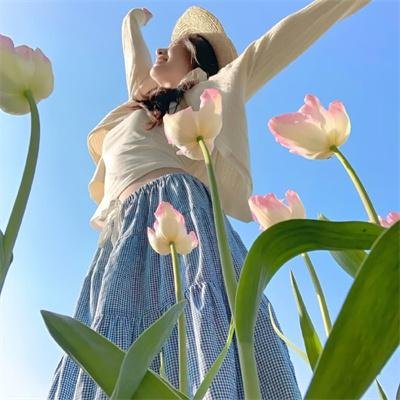 波列洛舞